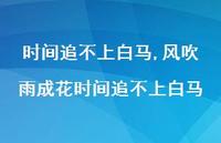 风吹雨成花时间追不上白马【100句文案精选】 风吹雨成花时间追不上白马【100句文案精选】