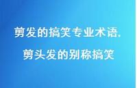 剪头发的别称搞笑【100句文案】 剪头发的别称搞笑【100句文案】