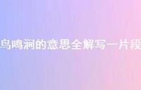 鸟鸣涧的意思全解写一片段(精选61句) 鸟鸣涧的意思全解写一片段(精选61句)