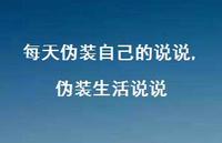 伪装生活说说(100句) 伪装生活说说(100句)
