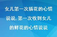 一次收到女儿的鲜花的心情说说(100句)