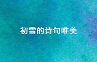 初雪的诗句唯美72句汇总 初雪的诗句唯美72句汇总