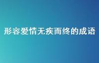 形容爱情无疾而终的成语51句汇总