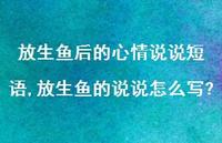 放生鱼的说说怎么写?(100句) 放生鱼的说说怎么写?(100句)