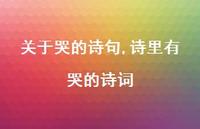 诗里有哭的诗词【100句文案】