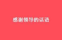 感谢领导的话语66句汇总 感谢领导的话语66句汇总