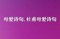 杜甫母爱诗句【100句文案精选】