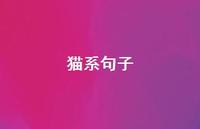 猫系句子【100句精选短句合集】 猫系句子【100句精选短句合集】