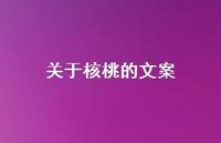 关于核桃的文案(精选41句) 关于核桃的文案(精选41句)