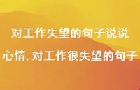 对工作很失望的句子(100句)