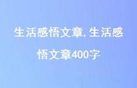 生活感悟文章400字【精品文案100句】