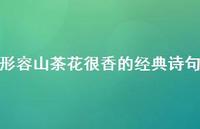 形容山茶花很香的经典诗句(精选55句) 形容山茶花很香的经典诗句(精选55句)