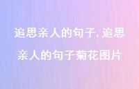 追思亲人的句子菊花图片【精品文案100句】
