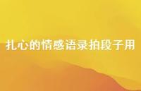 扎心的情感语录拍段子用41句汇总 扎心的情感语录拍段子用41句汇总
