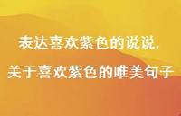 关于喜欢紫色的唯美句子【精选100句】