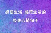 感悟生活的经典心情句子【100句文案精选】