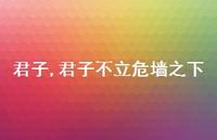 君子不立危墙之下【精品文案100句】 君子不立危墙之下【精品文案100句】
