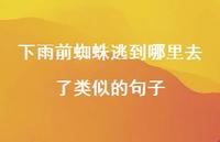 下雨前蜘蛛逃到哪里去了类似的句子【100句精选短句合集】 下雨前蜘蛛逃到哪里去了类似的句子【100句精选短句合集】