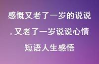 又老了一岁说说心情短语人生感悟【精选100句】
