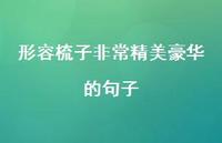 形容梳子非常精美豪华的句子(精选66句) 形容梳子非常精美豪华的句子(精选66句)