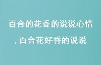 百合花好香的说说【精选100句】 百合花好香的说说【精选100句】