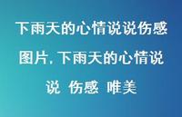 下雨天的心情说说 伤感 唯美【100句文案】