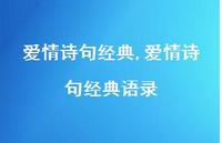 爱情诗句经典语录【100句文案精选】