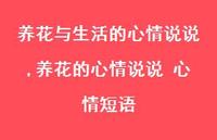 养花的心情说说 心情短语(100句)