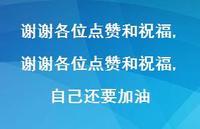 谢谢各位点赞和祝福,自己还要加油(100句) 谢谢各位点赞和祝福,自己还要加油(100句)