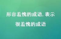 表示很羞愧的成语【精品文案100句】
