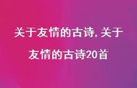 关于友情的古诗20首【100句文案精选】