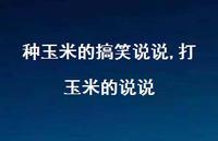 打玉米的说说(100句)