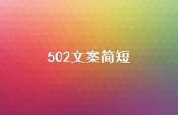 502文案简短60句汇总 502文案简短60句汇总